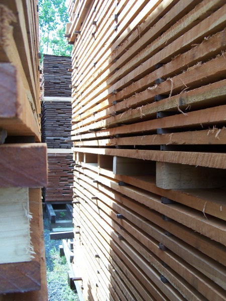Air Drying Cherry and Sapele
