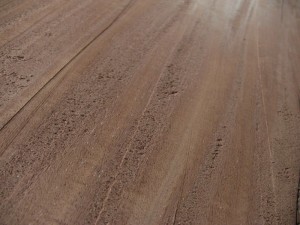 MonsterPlankForeSurface Fore Plane tearout on African Mahogany