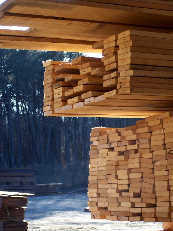 Hard Maple Stacks of Lumber
